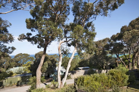 Lorne Surf Apartments - Food Delivery Shop 11