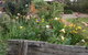 Mud Hollow Barn - thumb 12