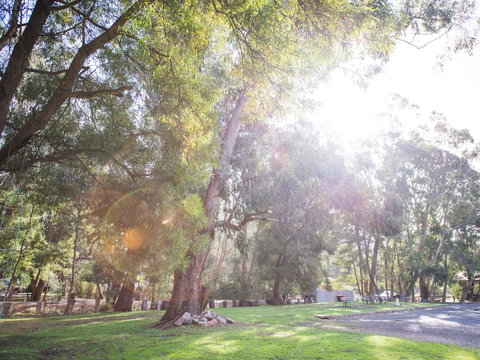 Gariwerd Motel - Pet Food Australia 7