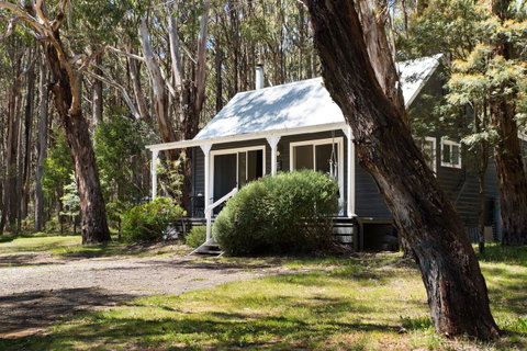 Bodhi Daylesford - Food Delivery Shop 26