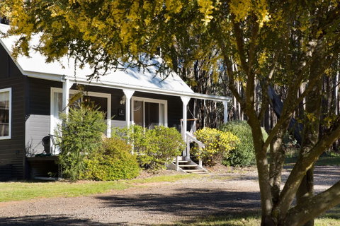 Bodhi Daylesford - Food Delivery Shop 14