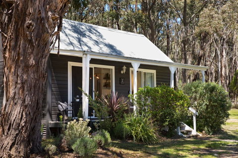 Bodhi Daylesford - Food Delivery Shop 7