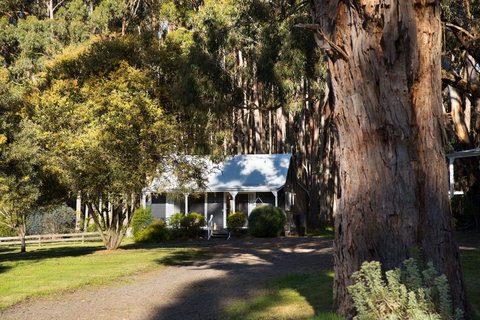 Bodhi Daylesford - Food Delivery Shop 8