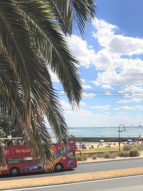 Beach Front Beauty - Food Delivery Shop 23