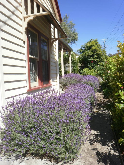 Miss Pym's Cottage - Food Delivery Shop 44
