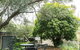 Miss Pym's Cottage - thumb 5