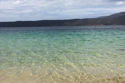 The Cove... On The Rocks At Port Arthur - Food Delivery Shop 1