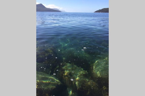 The Cove... On The Rocks At Port Arthur - Food Delivery Shop 3