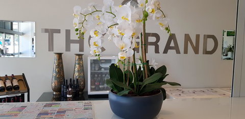 The Grand Motel - Pet Food Australia 1