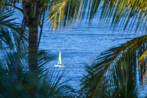 The Palms On Hamilton Island - Food Delivery Shop 2