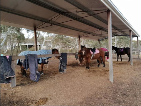 The Saddle Camp Tiny House, Braidwood - Food Delivery Shop 1