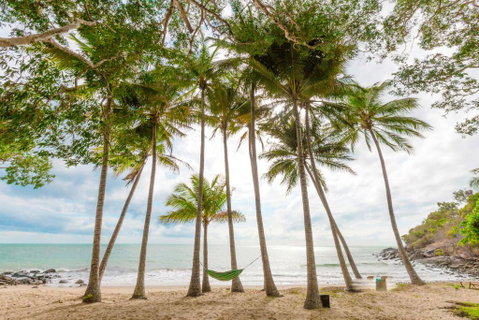 Turtle Cove Beach Resort - Adults Only LGBTQIA & Allies - Food Delivery Shop 3