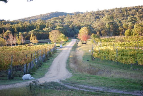 Twisted Gum Vineyard Cottage - Food Delivery Shop 1