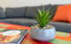 Urban Jungle! Executive Apartment In Heart Of CBD - thumb 1