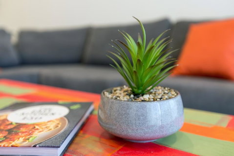 Urban Jungle! Executive Apartment In Heart Of CBD - Food Delivery Shop 1