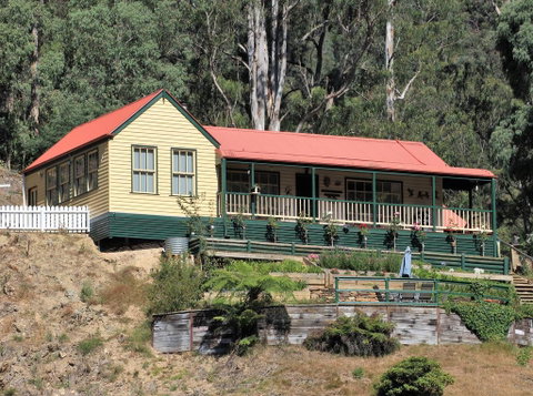 Walhalla Wild Cherry - Food Delivery Shop 0