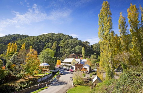 Walhalla's Star Hotel - Food Delivery Shop 0