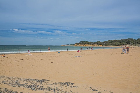 Nautical Rise Torquay - Food Delivery Shop 29