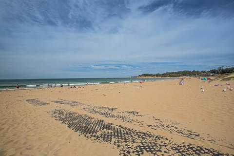 Nautical Rise Torquay - Food Delivery Shop 30