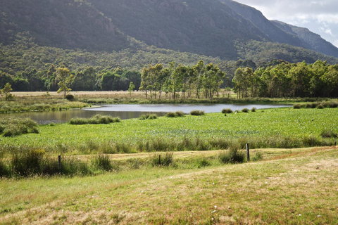 Gumnut Villa - Pet Food Australia 11