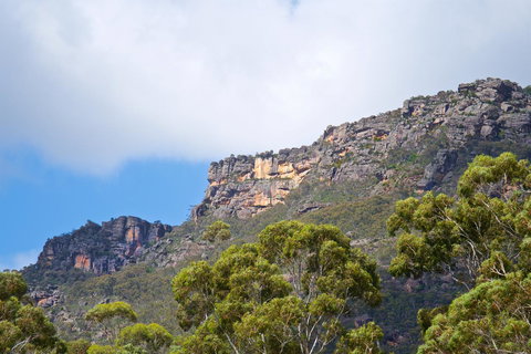 Gumnut Villa - Pet Food Australia 15