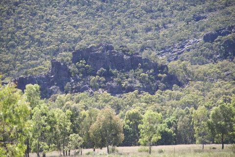 Gumnut Villa - Pet Food Australia 0