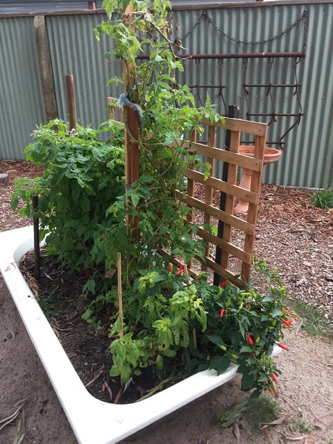 Grampians Pomonal Cottages - Pet Food Australia 28