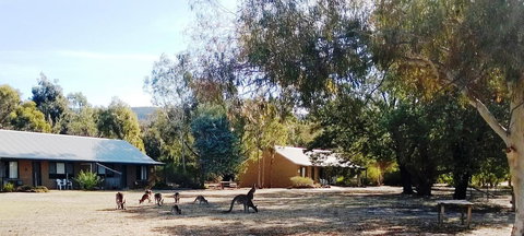 Grampians Pomonal Cottages - Pet Food Australia 6