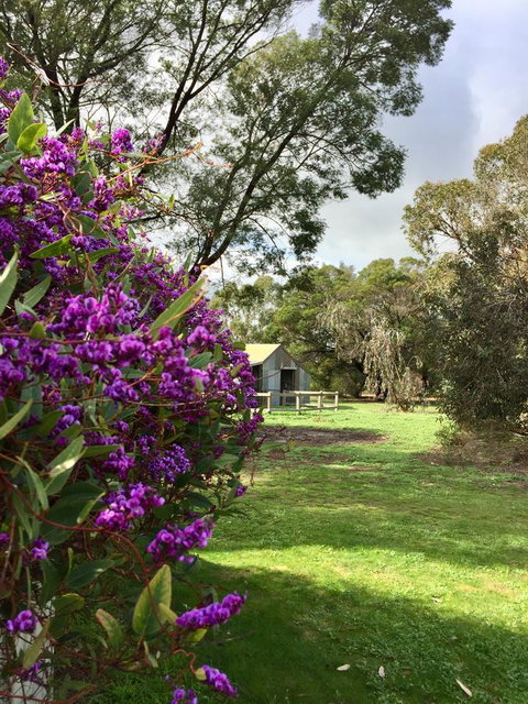 Grampians Pomonal Cottages - Pet Food Australia 21