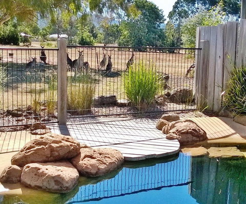 Grampians Pomonal Cottages - Pet Food Australia 24