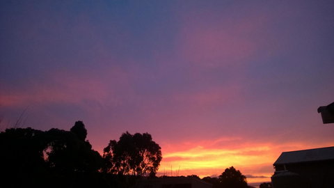 Grampians Pomonal Cottages - Pet Food Australia 30