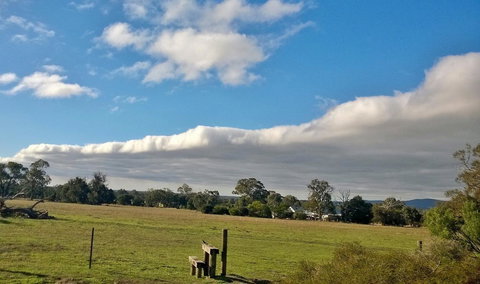 Grampians Pomonal Cottages - Pet Food Australia 29