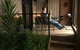 Black Lotus Townhouse - thumb 1