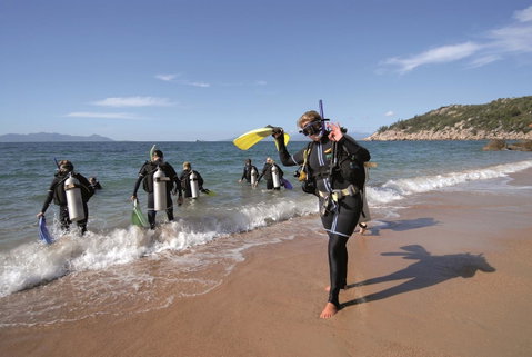 Nomads Magnetic Island - Food Delivery Shop 39