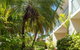 Sails On Horseshoe - thumb 28