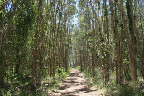 Lake Weyba Noosa Lodge & Kangaroos - Food Delivery Shop 39