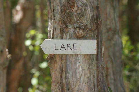Lake Weyba Noosa Lodge & Kangaroos - Food Delivery Shop 36
