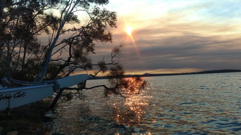 Lake Weyba Noosa Lodge & Kangaroos - Food Delivery Shop 40