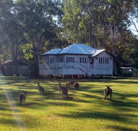 Lake Weyba Noosa Lodge  Kangaroos - Pet Food Australia