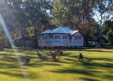 Lake Weyba Noosa Lodge & Kangaroos - Food Delivery Shop 0