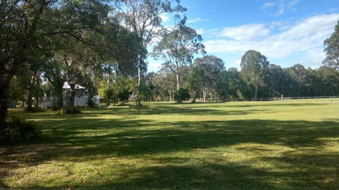 Lake Weyba Noosa Lodge & Kangaroos - Food Delivery Shop 32