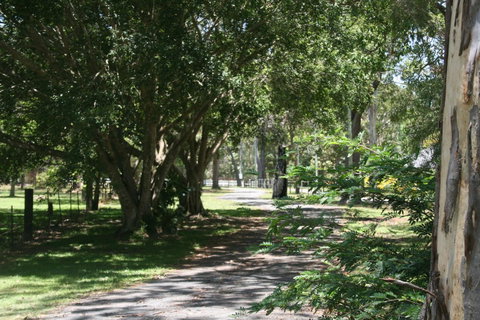 Lake Weyba Noosa Lodge & Kangaroos - Food Delivery Shop 34