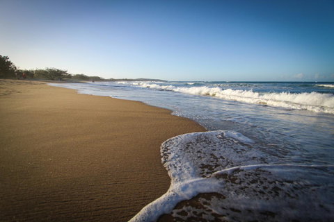 Sandcastles 1770 Motel & Resort - Food Delivery Shop 30