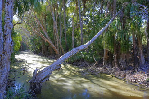 Sandcastles 1770 Motel & Resort - Food Delivery Shop 18