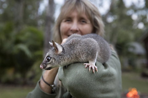 Airlie Beach Eco Cabins - Adults Only - Food Delivery Shop 11