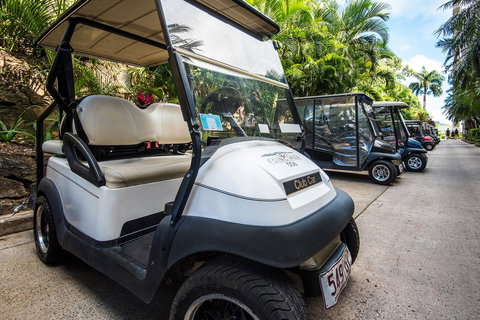 Beach Lodges - Food Delivery Shop 40