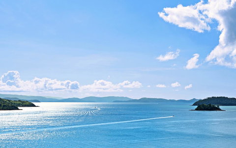 Shorelines - Food Delivery Shop 15