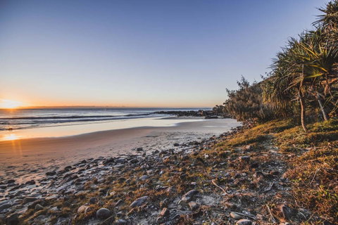 The Point Coolum - Food Delivery Shop 4