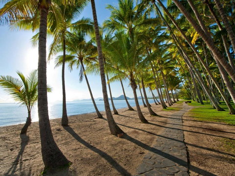 Palm Cove Beach Apartment - Food Delivery Shop 29