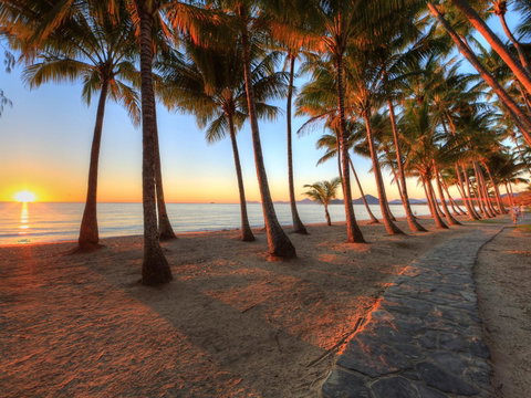 Palm Cove Beach Apartment - Food Delivery Shop 21